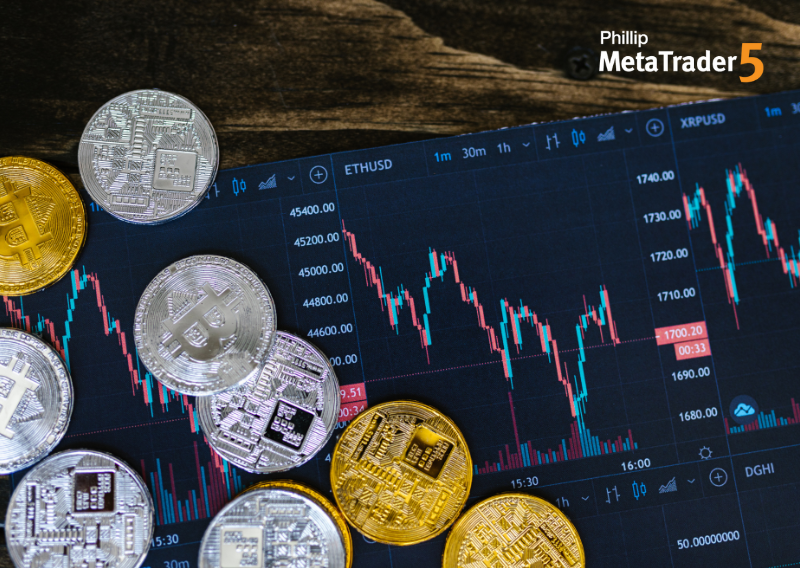 An article key hero image on the blog topic of access trading signals on Phillip MetaTrader 5