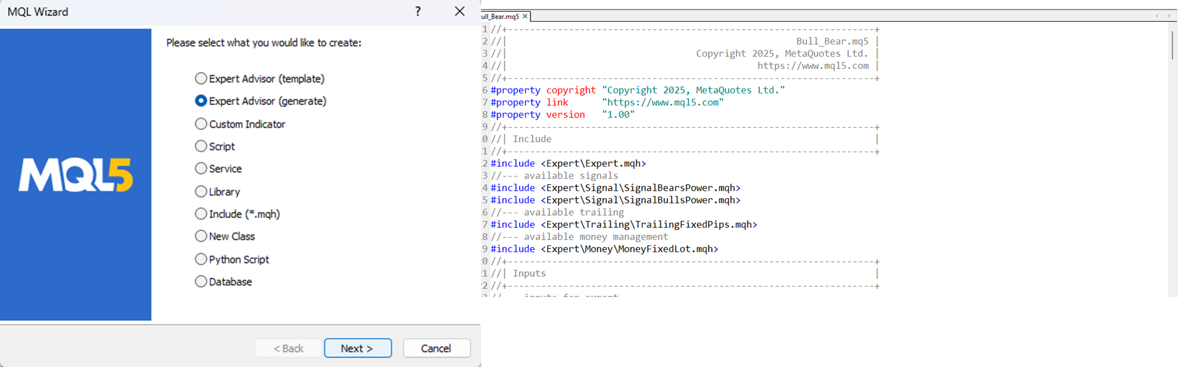 MQL5 wizard setting popup